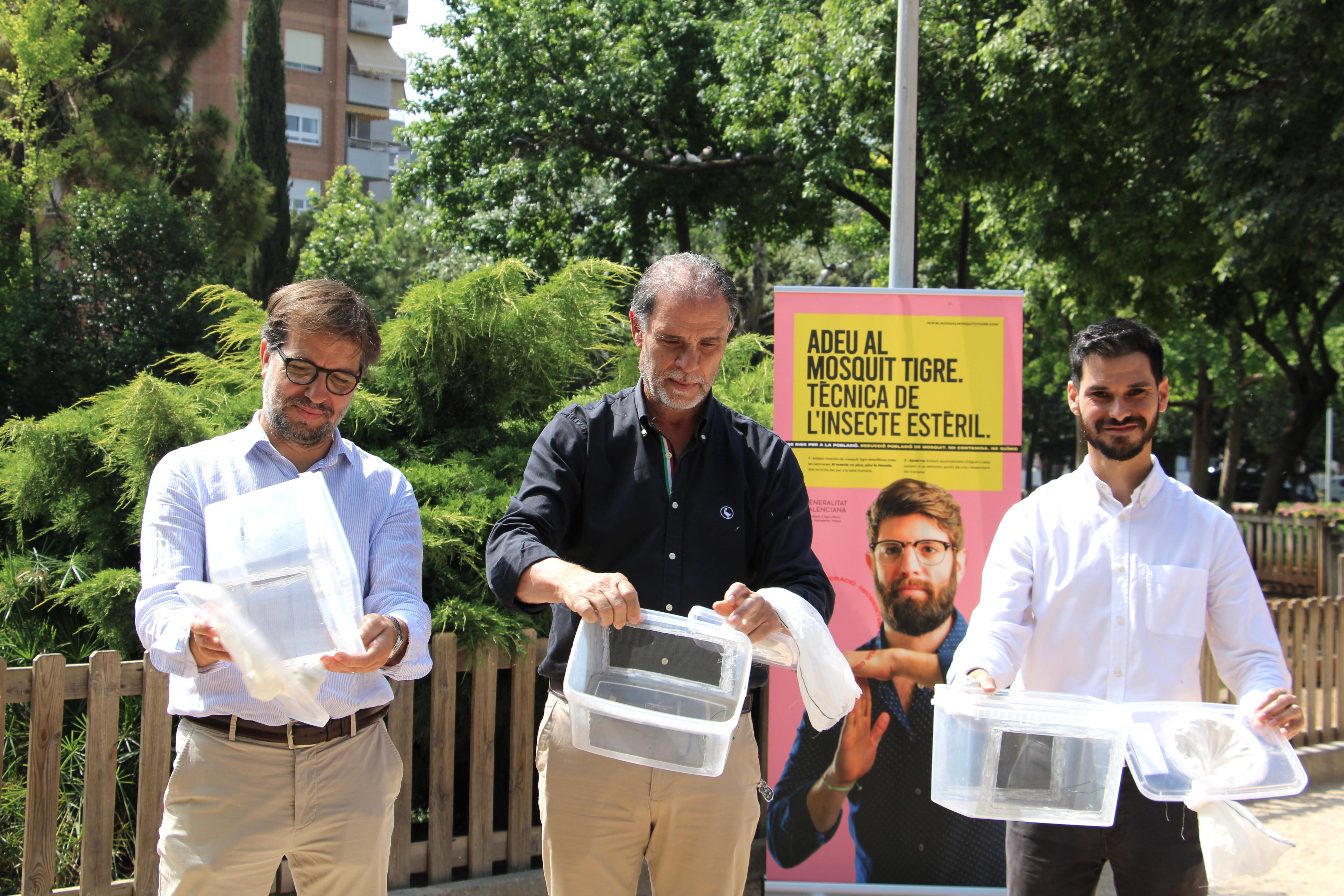 Castelló inicia la campanya contra el mosquit tigre amb la tècnica de l'Insecte Estèril en cinc parcs de la ciutat