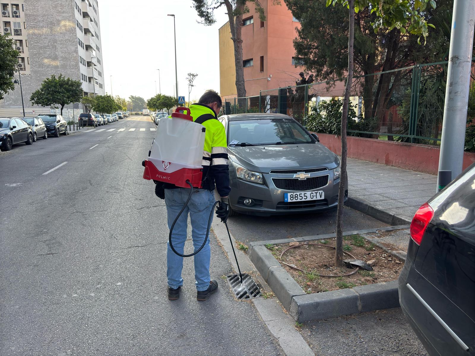 La regidoria de Salut Pública intensifica els treballs contra la proliferació de plagues de mosquits amb un contracte quasi un 30% superior al de l'anterior govern